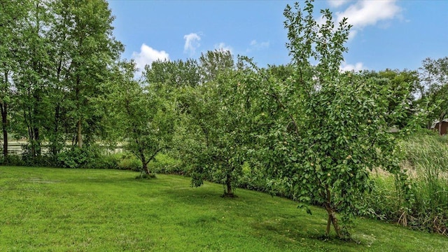 1506 Pulaski Rd, Buffalo, MN 55313 - photo 36