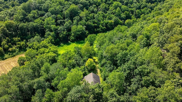 W598 Joos Valley Rd, Cross Twp, WI 54629 - photo 2