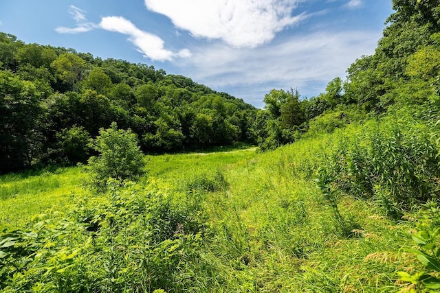W598 Joos Valley Rd, Cross Twp, WI 54629 - photo 3