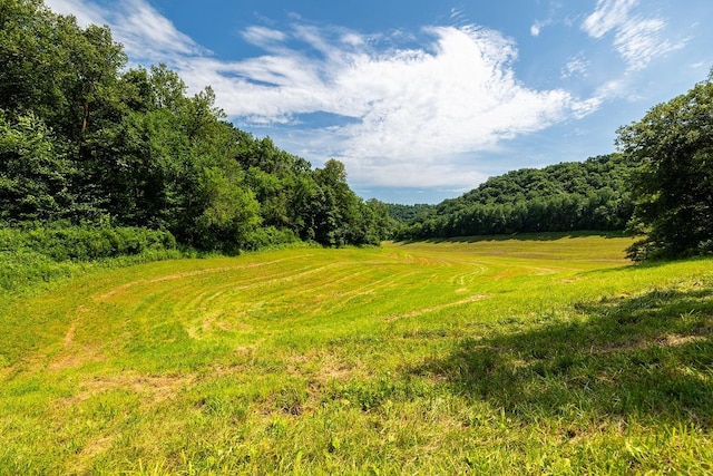 W598 Joos Valley Rd, Cross Twp, WI 54629 - photo 5