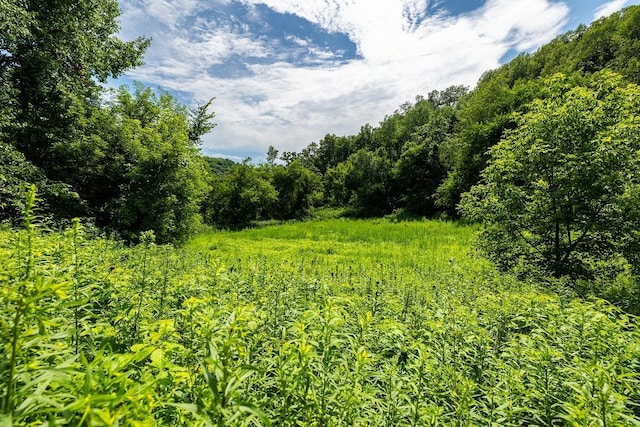 W598 Joos Valley Rd, Cross Twp, WI 54629 - photo 6