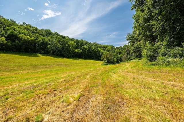 W598 Joos Valley Rd, Cross Twp, WI 54629 - photo 7