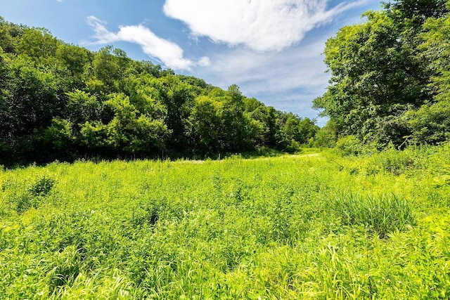 W598 Joos Valley Rd, Cross Twp, WI 54629 - photo 8