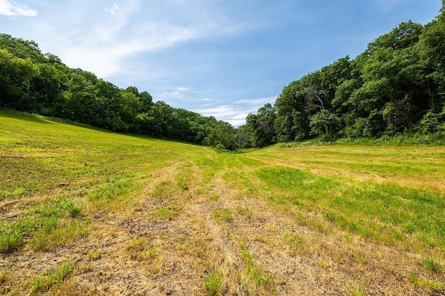 W598 Joos Valley Rd, Cross Twp, WI 54629 - photo 10