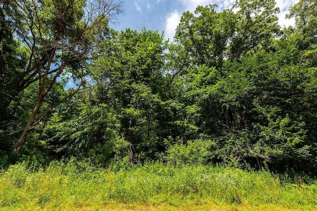 W598 Joos Valley Rd, Cross Twp, WI 54629 - photo 11