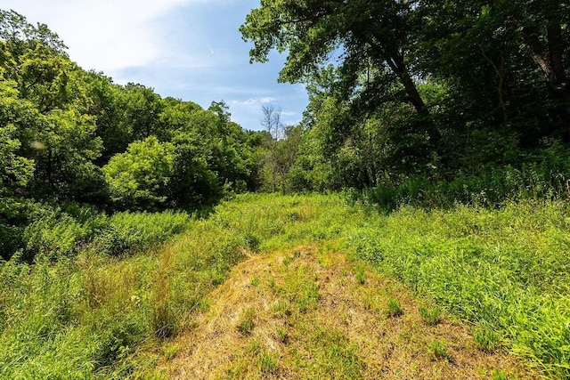W598 Joos Valley Rd, Cross Twp, WI 54629 - photo 12