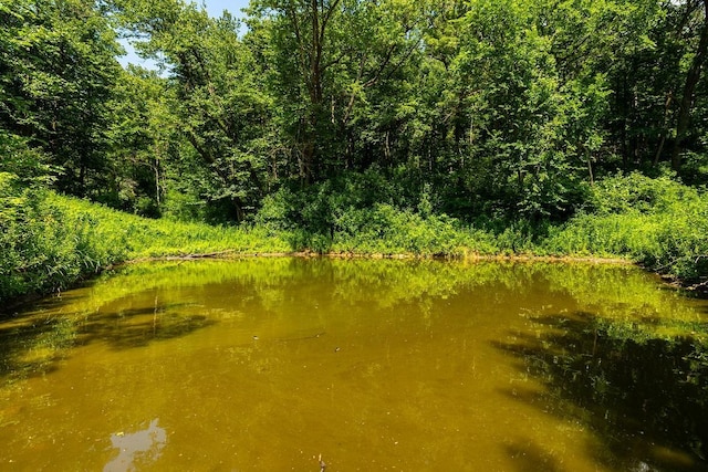 W598 Joos Valley Rd, Cross Twp, WI 54629 - photo 16