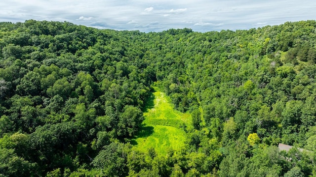 W598 Joos Valley Rd, Cross Twp, WI 54629 - photo 18