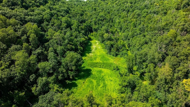 W598 Joos Valley Rd, Cross Twp, WI 54629 - photo 19