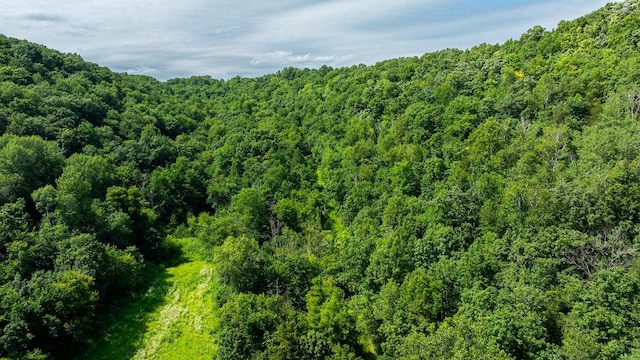 W598 Joos Valley Rd, Cross Twp, WI 54629 - photo 23