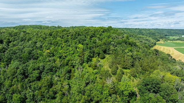 W598 Joos Valley Rd, Cross Twp, WI 54629 - photo 25