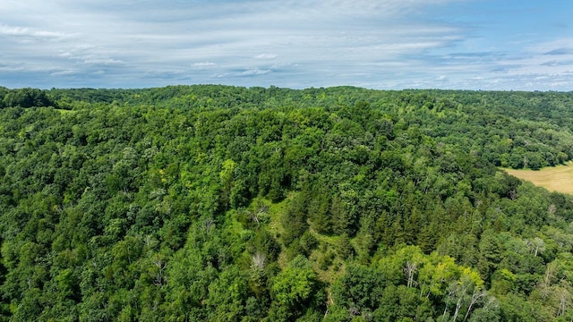 W598 Joos Valley Rd, Cross Twp, WI 54629 - photo 27