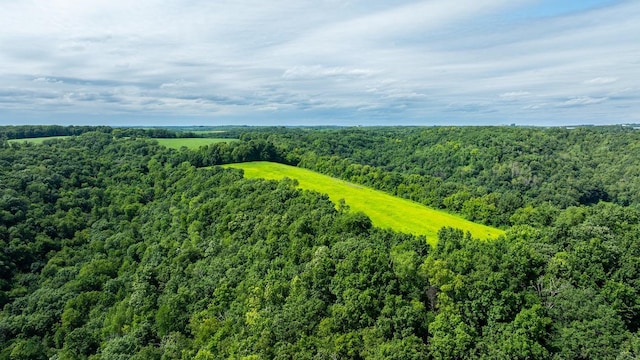 W598 Joos Valley Rd, Cross Twp, WI 54629 - photo 29