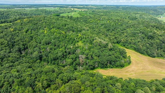W598 Joos Valley Rd, Cross Twp, WI 54629 - photo 35