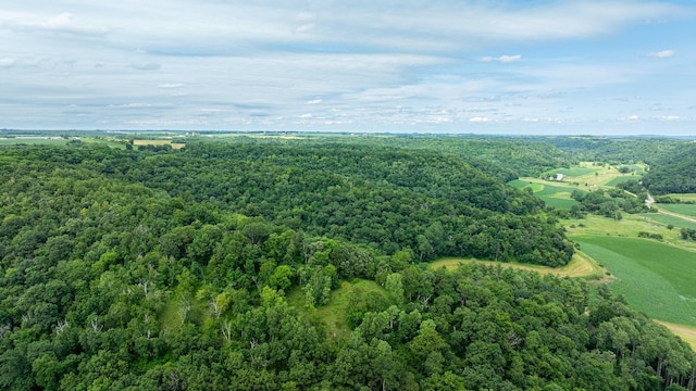W598 Joos Valley Rd, Cross Twp, WI 54629 - photo 40