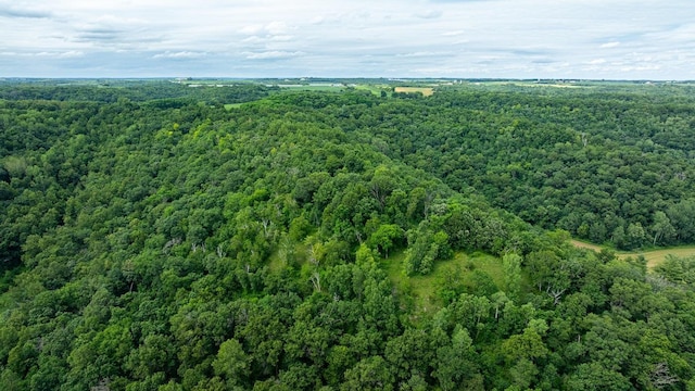 W598 Joos Valley Rd, Cross Twp, WI 54629 - photo 45