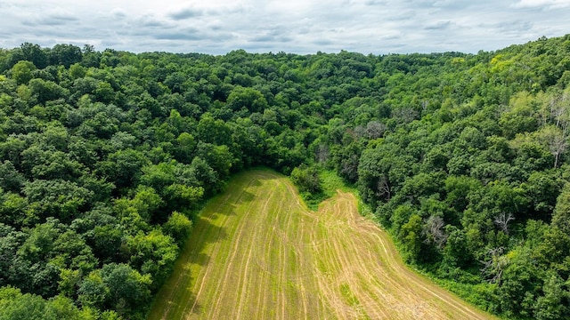 W598 Joos Valley Rd, Cross Twp, WI 54629 - photo 46