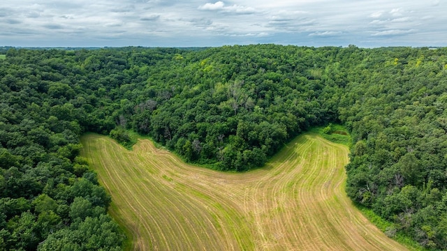 W598 Joos Valley Rd, Cross Twp, WI 54629 - photo 48