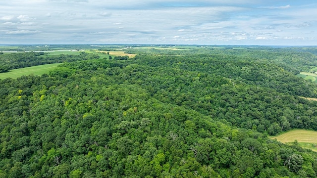 W598 Joos Valley Rd, Cross Twp, WI 54629 - photo 50