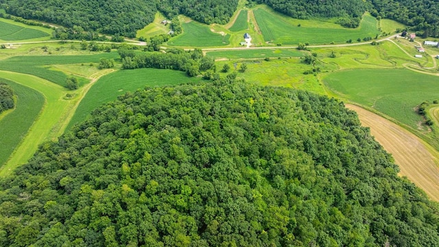 W598 Joos Valley Rd, Cross Twp, WI 54629 - photo 56
