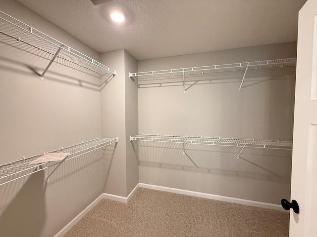 2713 Kepler Ave NE, Saint Michael, MN 55376 - photo 23