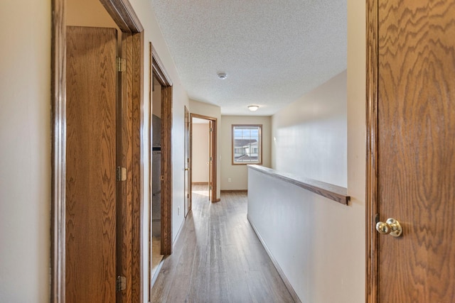 420 Archibald Ln, Dundas, MN 55019 - photo 19