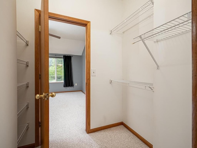 1221 Clarence St, Saint Paul, MN 55106 - photo 15
