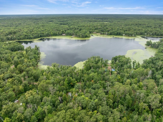7906 Meadow Lake Rd SW, Meadowbrook Twp, MN 56466 - photo 16