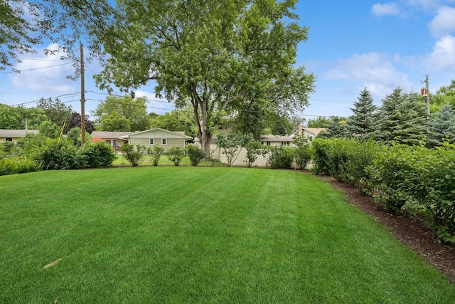 2240 Pennsylvania Ave S, Saint Louis Park, MN 55426 - photo 5