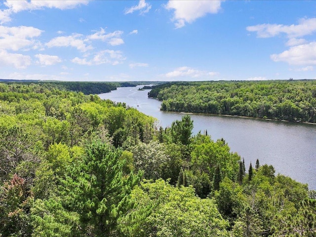 1227 Sunset Hill Rd NE, Outing, MN 56662 - photo 5