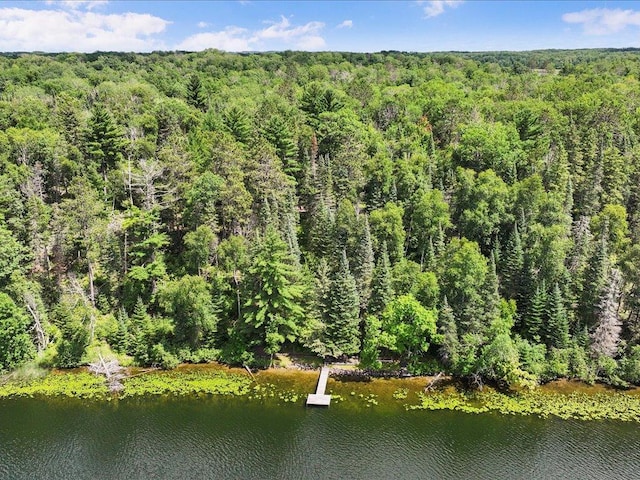 1227 Sunset Hill Rd NE, Outing, MN 56662 - photo 54
