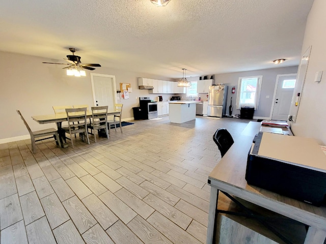 46049 St Lawrence Dr, Otto Twp, MN 56573 - photo 5
