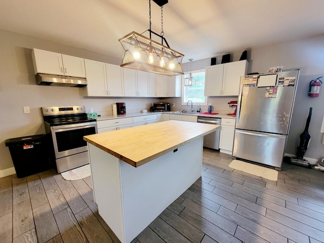 46049 St Lawrence Dr, Otto Twp, MN 56573 - photo 6