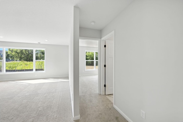 14907 144th Ave N, Dayton, MN 55327 - photo 22
