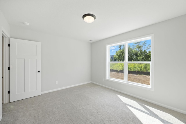 14907 144th Ave N, Dayton, MN 55327 - photo 23