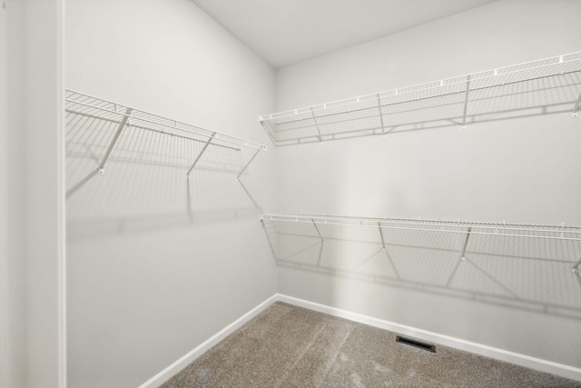 14907 144th Ave N, Dayton, MN 55327 - photo 25