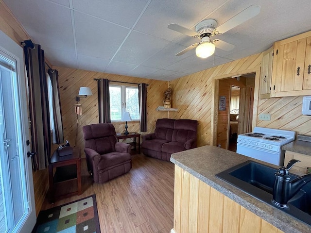 26142 Isoline Loop, Park Rapids, MN 56470 - photo 7