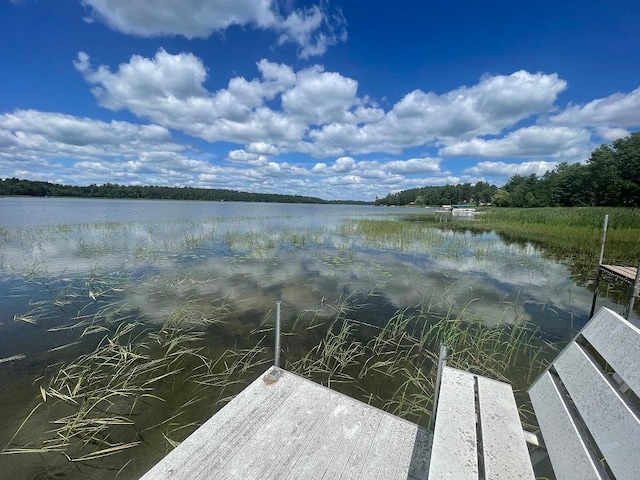 26142 Isoline Loop, Park Rapids, MN 56470 - photo 15
