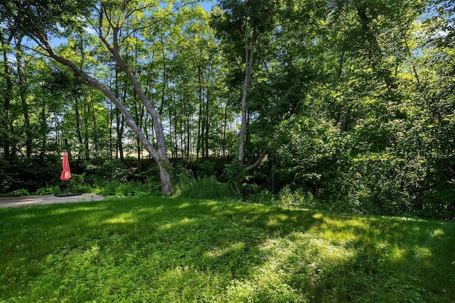 278 Harrington Dr, Long Lake, MN 55356 - photo 25