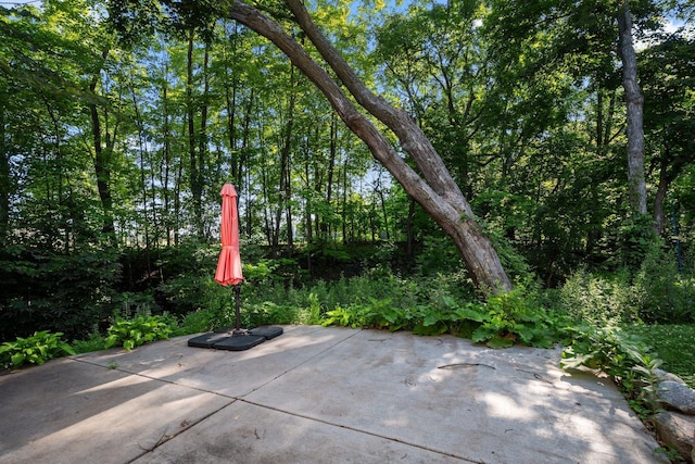278 Harrington Dr, Long Lake, MN 55356 - photo 26