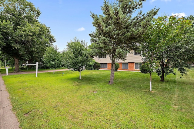 2708 Pearson Pkwy, Brooklyn Park, MN 55444 - photo 30