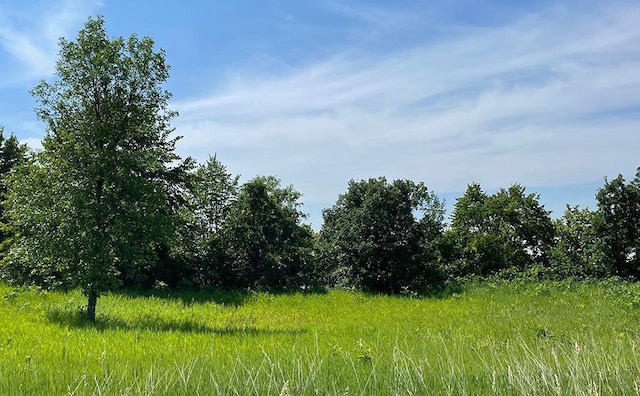 LOT4 Seclusion Point Rd, Dent, MN 56528 - photo 4