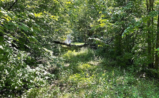 LOT4 Seclusion Point Rd, Dent, MN 56528 - photo 7
