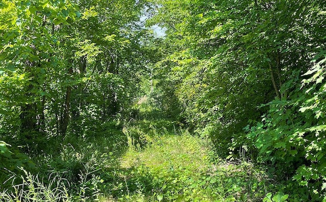 LOT4 Seclusion Point Rd, Dent, MN 56528 - photo 8