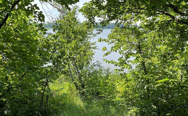 LOT4 Seclusion Point Rd, Dent, MN 56528 - photo 9