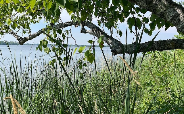 LOT4 Seclusion Point Rd, Dent, MN 56528 - photo 10