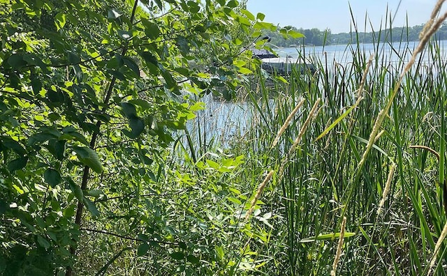 LOT4 Seclusion Point Rd, Dent, MN 56528 - photo 11