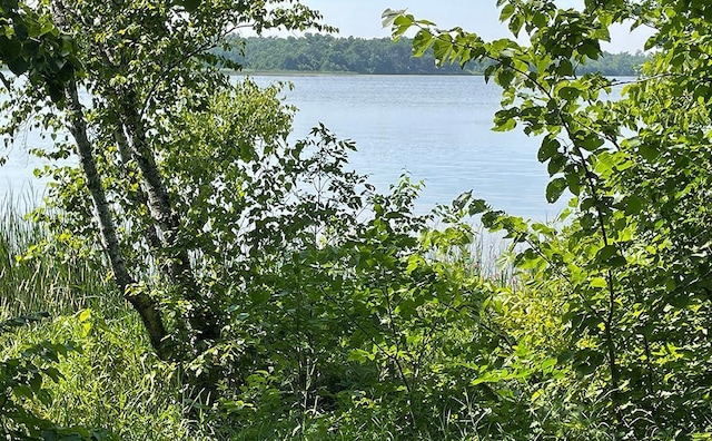 LOT4 Seclusion Point Rd, Dent, MN 56528 - photo 12