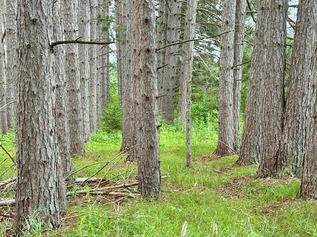TBD20THSTSW 20th St SW, Bull Moose Twp, MN 56474 - photo 2