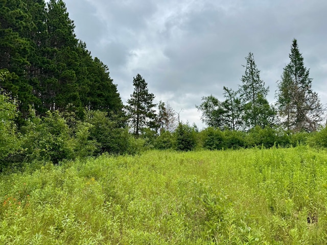 TBD20THSTSW 20th St SW, Bull Moose Twp, MN 56474 - photo 3